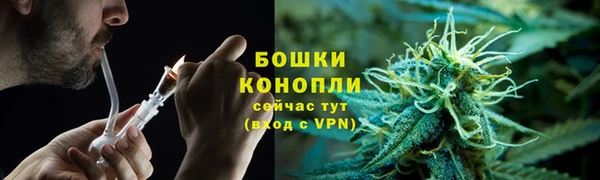 гидропоника Каменка
