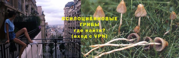 мет Зеленодольск