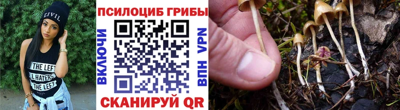 Галлюциногенные грибы MAGIC MUSHROOMS  Купить  Белая Калитва 